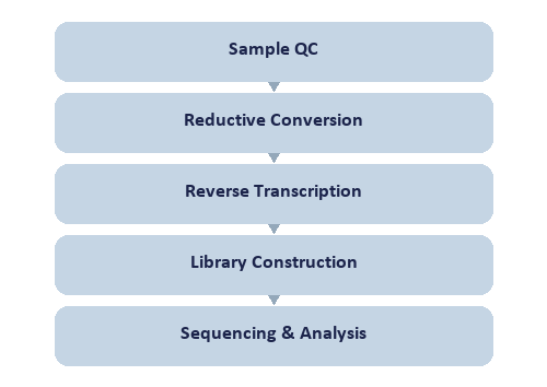 Single-Nucleotide tRNA ac4C Modification Seq workflow