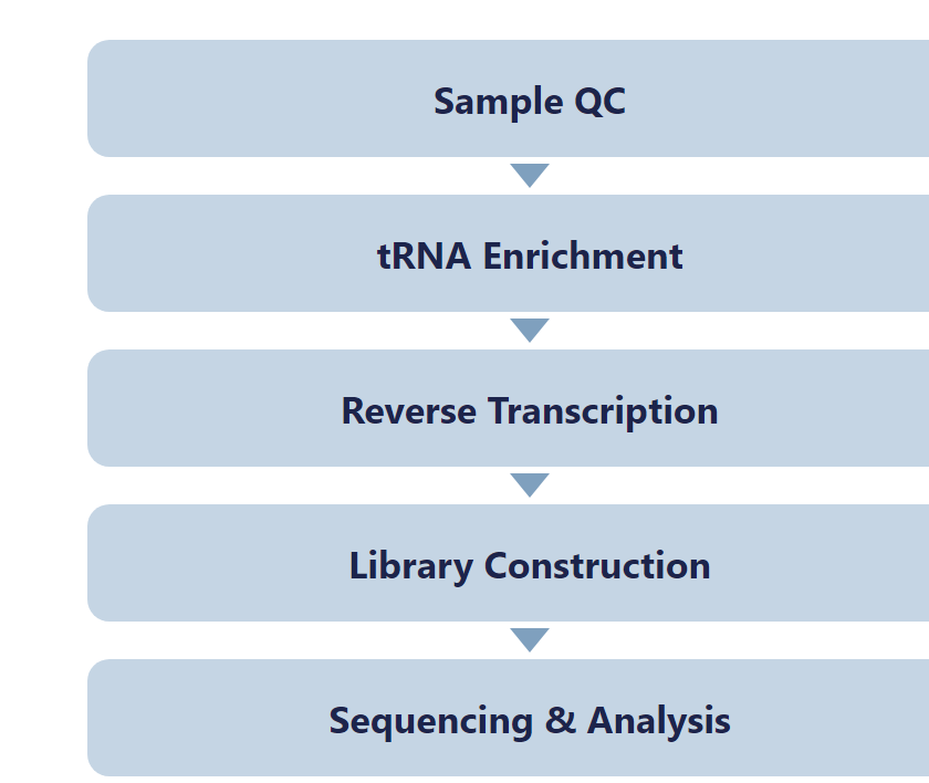 m1A-quant-seq workflow for tRNA